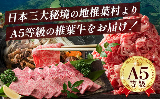 宮崎県産 椎葉牛 切り落とし 2kg A5等級指定［ 宮崎県 椎葉村 国産 国産牛 黒毛和牛 和牛 牛 牛肉 赤身 にく おにく 肉 お肉 a5 A5 すきやき すき焼き カレー シチュー 炒め物 冷凍 ごちそう 贈物 日本三大秘境］【TK-30】