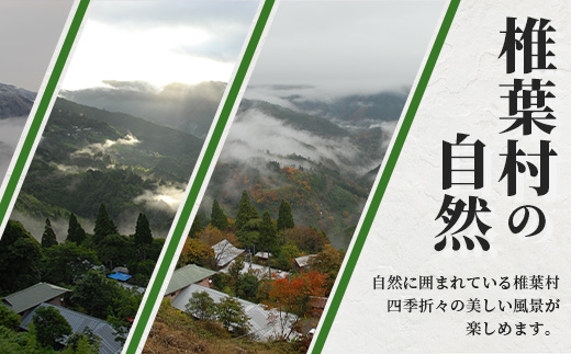 【返礼品なしの寄附】宮崎県椎葉村（1口：1,500円）