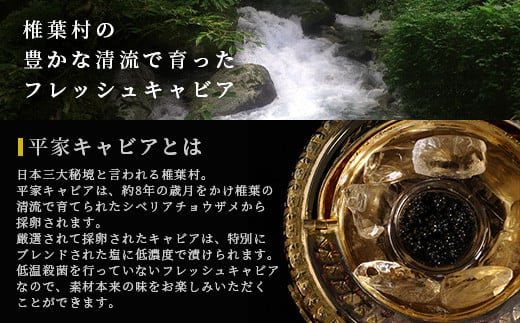 【世界三大珍味×日本三大秘境】HEIKE CAVIAR  ワインキャビア 20g【産地直送】【簡易包装】［宮崎 椎葉 国産 ちょうざめ チョウザメ きゃびあ キャビア 5g 魚卵 卵 魚介 珍味 加工品 冷凍 高級 贅沢品 ディナー パーティー おつまみ グルメ ギフト 記念日 誕生日 プレゼント お祝い 贈り物 贈答品 桐箱 希少］【SZ-128】