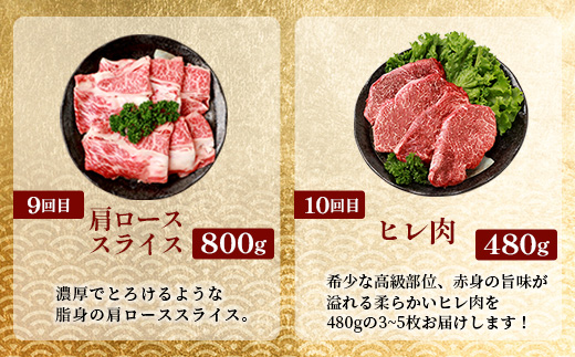 【 定期便 全10回 】 10ヶ月連続でお届け！ 牛肉 オール椎葉牛大満足セット 総重量 5,180g 【 日本三大秘境 椎葉村 育ちの黒毛和牛 】[ 牛肉 ステーキ 精肉 ホルモン モモ肉 ヒレ肉 定期便 定期配送 肉 スライス肉 サーロイン A5等級指定 黒毛和牛 ブランド牛 A5ランク おすすめ 送料無料 ] TK-105