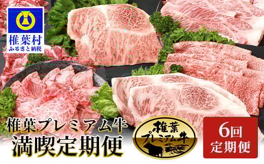【定期便6回】総重量3.1kg 椎葉プレミアム牛満喫定期便≪ステーキ・すき焼き・しゃぶしゃぶ・焼き肉≫［宮崎県 椎葉村 国産 国産牛 黒毛和牛 和牛 牛 牛肉 赤身 にく おにく 肉 お肉 ステーキ すきやき すき焼き じゃぶじゃぶ やきにく 焼肉  バーベキュー 冷凍 ごちそう 贈物 日本三大秘境］【TK-56】