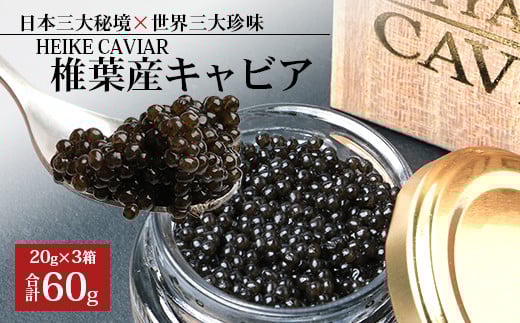 【桐箱入り】HEIKE CAVIAR 60ｇ 【世界三大珍味×日本三大秘境】［宮崎 椎葉 国産 ちょうざめ チョウザメ キャビア 60g 魚卵 卵 魚介 珍味 加工品 食べ物 食品 冷凍 高級 贅沢 お取り寄せグルメ ディナー パーティー おつまみ グルメ ギフト 記念日 誕生日 プレゼント お祝い 贈り物 贈答 贈答品 桐箱 希少］【SZ-107】