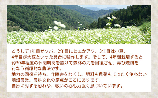 æ€èæã®çŒç蟲家ãã€ãã£ã è麊ç²ã¯ã©ãã«ãŒãæã¥ããã®çŒèåãéæç¡æ å®®åŽç æ€èæ æ€è æ¥æ¬äžå€§ç§å¢ ç§å¢ çŒç ããã¯ã ããã£ã㌠ã¯ã©ãã«ãŒ è麊 èéºŠç² ãã° ãã°ã è麊ç²ã¯ã©ãã«ãŒ ãã〠ããã èå ãèå çŒãèå ç¡æ·»å æäœã èªç¶ ã®ãã ãåç£ïŒœãYS-34ã