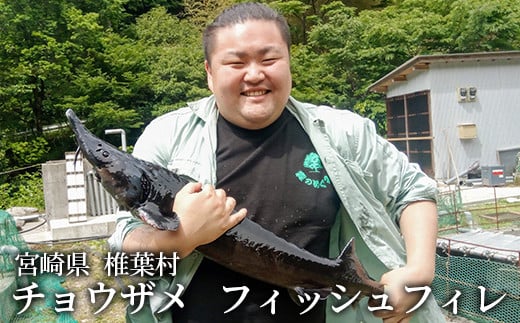キャビアフィッシュフィレ 1尾【800g〜1.2Kg】［宮崎 椎葉 国産 ちょうざめ チョウザメ きゃびあ キャビア クリーミー お酒 魚介 珍味 加工品 冷凍 高級 贅沢 食べ物 グルメ ディナー パーティー おつまみ お祝い ギフト 記念日 誕生日 プレゼント 贈り物 贈答 贈答品 父の日 母の日 お中元 お歳暮 桐箱 希少］【SZ-119】