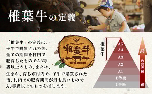 総重量2.1kg 【3種の牛肉】焼肉食べ比べセット ≪椎葉牛・椎葉プレミアム牛・宮崎県産和牛≫［宮崎県 椎葉村 国産 国産牛 黒毛和牛 和牛 牛 牛肉 赤身 にく おにく 肉 お肉 やきにく 焼肉 バーベキュー セット 冷凍 ごちそう 贈物 日本三大秘境］【TK-52】