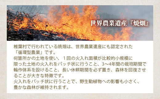 æ€èæã®çŒç蟲家ãã€ãã£ã ã²ãã¯ã©ãã«ãŒãæã¥ããã®çŒèåãéæç¡æ å®®åŽç æ€èæ æ€è æ¥æ¬äžå€§ç§å¢ ç§å¢ çŒç ããã¯ã ããã£ã㌠ã¯ã©ãã«ãŒ ã²ã ã²ãã¯ã©ãã«ãŒ ãã〠ããã èå ãèå çŒãèå ç¡æ·»å æäœã èªç¶ ã®ãã ãåç£ïŒœãYS-32ã