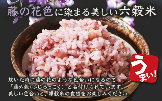 【6回定期便】【雑穀米】藤の花色に染まる美しい六穀米《藤六穀》300g×2袋 6回配送【世界農業遺産 高千穂郷・椎葉山地域】送料無料 定期便 定期 保存食 非常食 米 お米 ご飯 ご当地 贈り物 手土産 お土産 挨拶 祝い ギフト 父 母 栄養 健康 うるち米 たかきび 挽割とうもろこし もちあわ もち麦 黒米【TT-15】