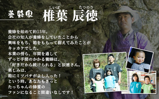 【無添加 非加熱】標高800m たっちゃんのこだわり蜂蜜【170g×3本】(送料無料 宮崎県 椎葉村 秘境 蜂蜜 はちみつ ハチミツ みつばち ミツバチ 伝統的 養蜂 国産 天然 百花蜜 巣箱 数量限定 季節 希少 170g 340g 510g 防災 備蓄) TN-06