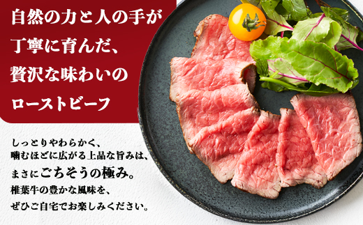 ãå®æäŸ¿ã6åå®æäŸ¿ å®®åŽçç£ å€§äººæ°ïŒæ€èç ããŒã¹ãããŒãããã㯠400gïŒ100gÃ4PïŒÃ6å ãèš2.4kgãéæç¡æ å®æäŸ¿ æ€è ããŒã¹ãããŒãããã㯠ããŒã¹ãããŒã ããã㯠åœç£ç 黿¯åç åç çè 赀身 ã«ã ãã«ã è ç ãè ãããã¯è å·å é£ã¹ç© é£å èŽ
æ²¢ ãã¡ãã ãåãå¯ã ã°ã«ã¡ èŽç© 宿 ã®ãã æ¥æ¬äžå€§ç§å¢ ãããã 人æ°ïŒœTK-107