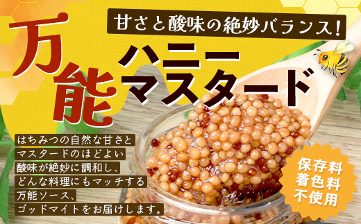 【1月より順次発送】【椎葉村産のはちみつ】を使用したハニーマスタード！ゴッドマイト 90g × 2個 計 180g | ハニーマスタード マスタード 90g 180g 2個 はちみつ 蜂蜜 粒マスタード 万能ソース 宮崎県 椎葉村 おすすめ 純粋はちみつ | TT-19