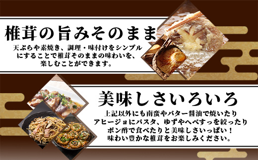 【訳あり】【徳用】秘境・椎葉村産 原木 乾しいたけ 300g［送料無料 宮崎県産 国産 原木椎茸 原木 椎茸 シイタケ しいたけ 乾しいたけ 干し椎茸 原木栽培 産地直送 乾物 きのこ グアニル酸 ビタミンD おすすめ 栄養 美容 食物繊維 煮物 みそ汁 汁もの ダシ 出汁 お鍋 鍋 特産品 ご当地 お取り寄せ 大容量 調味料 ギフト 贈物 プレゼント お中元 お歳暮 化粧箱入］【JA-32】