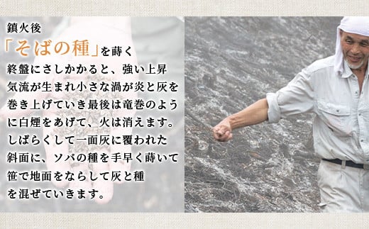 焼畑農家がつくった あずきもち 10個【日本三大秘境の地「椎葉村」からお届け】送料無料 宮崎県 宮崎 椎葉村 椎葉 餅 あずきもち 小豆 小豆もち 小豆餅 あずき餅 あずき アズキ もち モチ セット 焼き餅 焼餅 正月 お祝い 祝い 美味しい うまい やきもち もち米 焼きもち【YS-46】