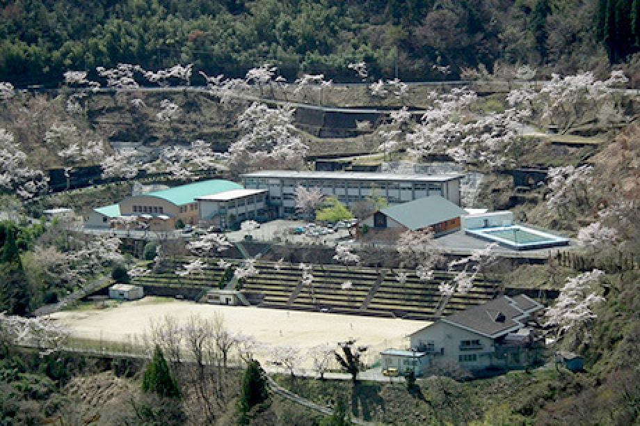 教育、スポーツ活動の充実に関する事業