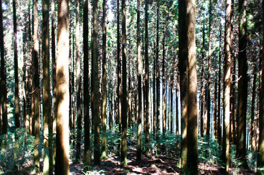 産業の振興に関する事業