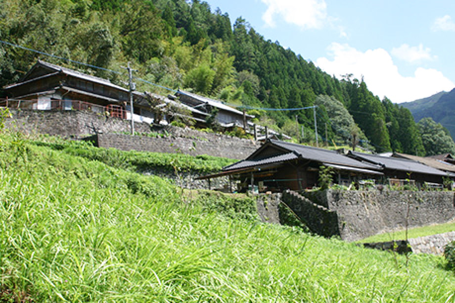 自然環境保全、景観の維持に関する事業