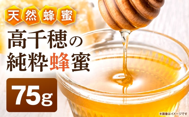日本みつばち 高千穂の純粋蜂蜜 75g×1本|蜂蜜 はちみつ 日本みつばち 純粋蜂蜜 国産蜂蜜 天然蜂蜜 垂れ蜜 蜜蜂 希少 蜂蜜 濃厚 花 伝統製法 特産品 ふるさと納税 返礼品 宮崎県 高千穂町 | _Tk005-099-0751