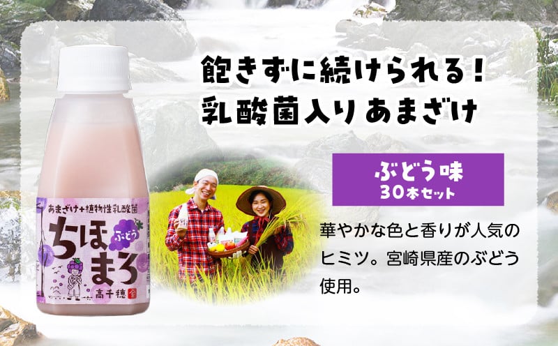 乳酸菌入りあまざけ ちほまろ 150g　30本セット【ぶどうのみ】 セット 飲み比べ 味比べ 詰め合わせ 無添加 砂糖不使用 日課 ノンアルコール 飲み物 ドリンク 飲料 お歳暮 贈り物 ギフト プレゼント 宮崎県 高千穂町 _Tk015-031-g30