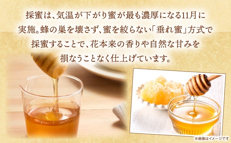 日本みつばち 高千穂の純粋蜂蜜 130g×1本|蜂蜜 はちみつ 日本みつばち 純粋蜂蜜 国産蜂蜜 天然蜂蜜 垂れ蜜 蜜蜂 希少 蜂蜜 濃厚 花 伝統製法 特産品 ふるさと納税 返礼品 宮崎県 高千穂町 | _Tk005-099-1301