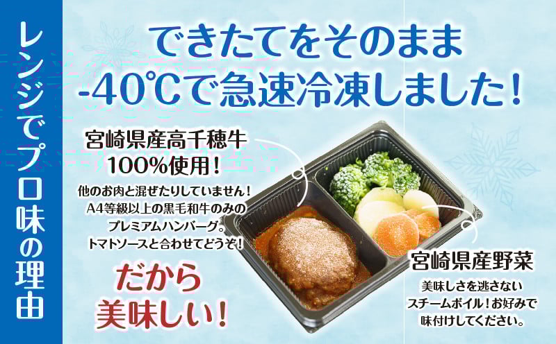 【6か月定期便】レンジでプロ味！定期便 黒毛和牛 コロッケ からあげ ジューシー 鶏もも肉 スパイス ハンバーグ 温野菜 プレート 高千穂牛 旨み チキン南蛮 レンジ 定期便 冷凍 冷凍食品 簡単調理 時短調理 一人暮らし 献立 弁当 _Tk005-t042