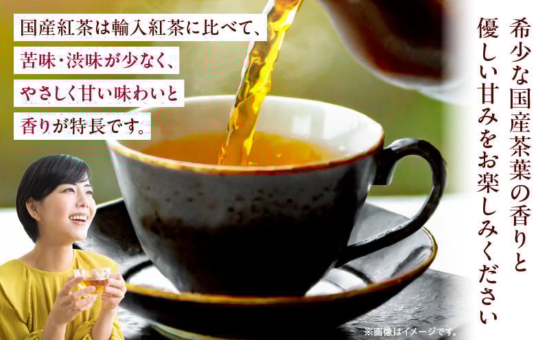 【和紅茶】高千穂紅茶（リーフ）2種4袋セット うんかい30g×2袋＆こうしゅん30g×2袋 国産 紅茶 お茶 うんかい こうしゅん 茶葉 和紅茶 飲み物 ティータイム 独特の旨味 やさしい セット 宮崎県 高千穂町 _Tk025-004