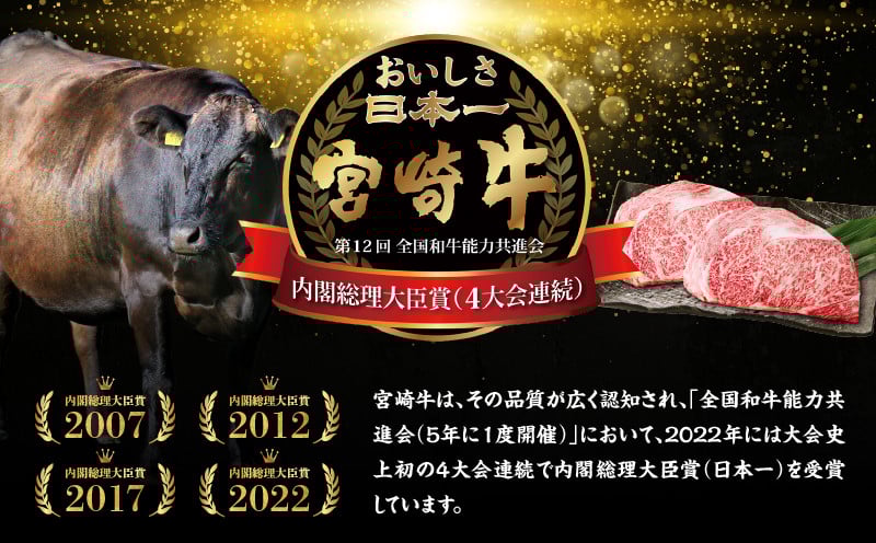 宮崎牛霜降り（ロース）ステーキ250g×2枚 計500g 宮崎牛 牛肉 お肉 国産牛 ブランド牛 和牛 ロースステーキ ロース ステーキ 霜降り ステーキ肉 贈答用 贈答 贈り物 プレゼント 冷凍 記念日 誕生日 内祝い グルメ BBQ 焼き肉 アウトドア ミヤチク お祝い ホームパーティー おもてなし _Tk031-013
