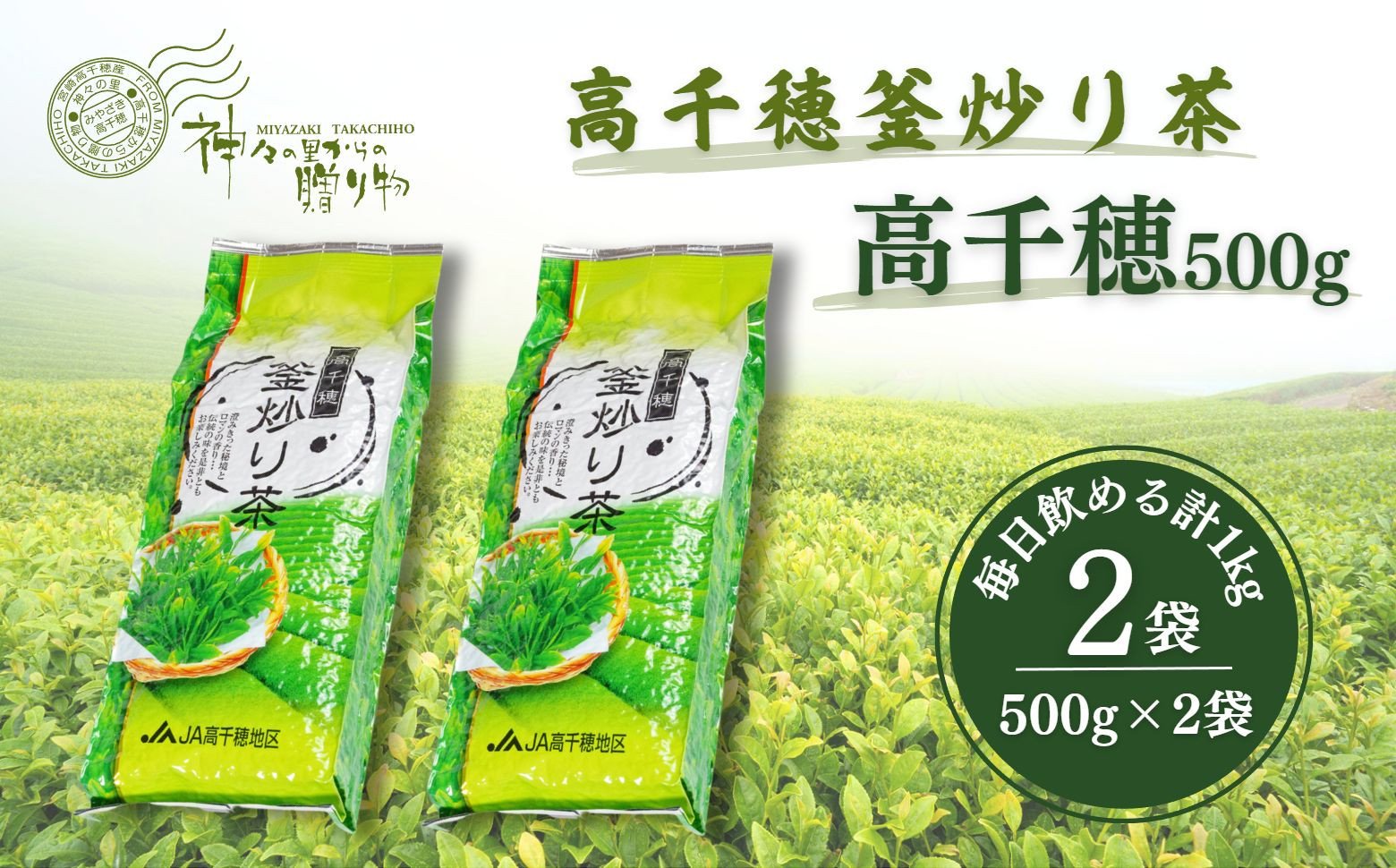 高千穂釜炒り茶（高千穂）500g×2本詰 宮崎県 高千穂町 厳選 緑茶 お茶 茶 緑茶 茶葉 釜炒り茶 2番茶 ドリンク 飲み物 ティータイム おもてなし おすそ分け お取り寄せ 宮崎県 高千穂町 _Tk004-056