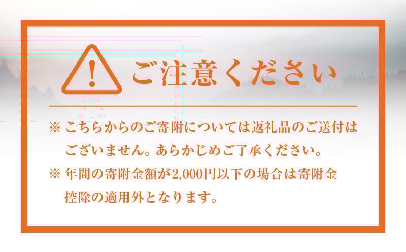 神話の里 高千穂町への応援寄附金【10,000円】（返礼品なし） 宮崎県 高千穂町 神話の里 応援寄附金 活性化 宮崎県 高千穂町 _Tk001-014
