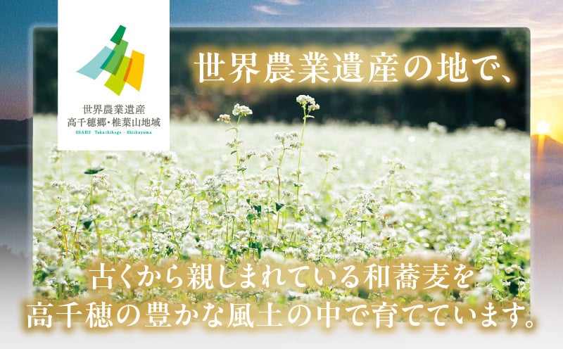 高千穂 有機栽培《そば粉》 300g×3袋 そば お蕎麦 高千穂在来種 国産 高千穂町産 そばがき ガレット お菓子作り アレンジ 料理 加工品 粉類 普段使い 蕎麦打ち 自宅で蕎麦打ち 在来種100％ 石臼挽き 年越しそば お歳暮 宮崎県 高千穂町 _Tk033-016