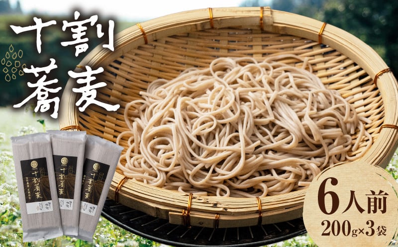 【国産乾そば6人前】そば 高千穂 有機栽培 10割蕎麦 200g×3袋 600g 蕎麦 十割 10割 国産 高千穂町産 乾麺 乾蕎麦 お蕎麦 贈答 贈り物 ギフト プレゼント 手土産 備蓄 保存食 おもてなし 年越し 年越しそば グルメ お取り寄せ おすすめ ご当地 宮崎県 高千穂町 _Tk033-014