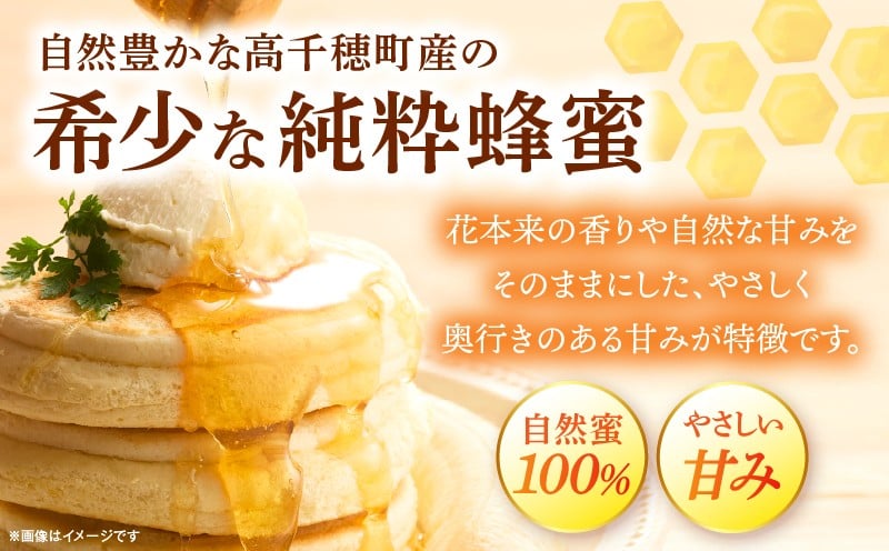 日本みつばち 高千穂の純粋蜂蜜 75g×1本|蜂蜜 はちみつ 日本みつばち 純粋蜂蜜 国産蜂蜜 天然蜂蜜 垂れ蜜 蜜蜂 希少 蜂蜜 濃厚 花 伝統製法 特産品 ふるさと納税 返礼品 宮崎県 高千穂町 | _Tk005-099-0751