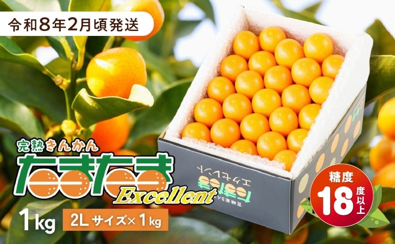 完熟きんかん たまたまエクセレント 1kg 果物 フルーツ デザート スイーツ きんかん きんかんたまたま 完熟 宮崎県産 国産 宮崎産 贈答 贈り物 ギフト プレゼント ブランド 柑橘 柑橘系 柑橘類 おやつ グルメ お取り寄せ 宮崎県 高千穂町 _Tk004-051