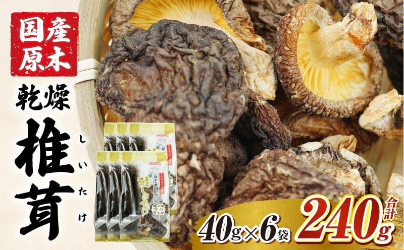 乾燥しいたけ 40g×6袋 240g 椎茸 小分け パック 小袋 個包装 個別包装 出汁取り 使い切り 使い勝手 普段使い お吸い物 きのこ キノコ類 干ししいたけ 乾しいたけ 原木栽培 乾燥しいたけ 常温 グルメ お取り寄せ おすすめ 宮崎県 高千穂町 _Tk004-039