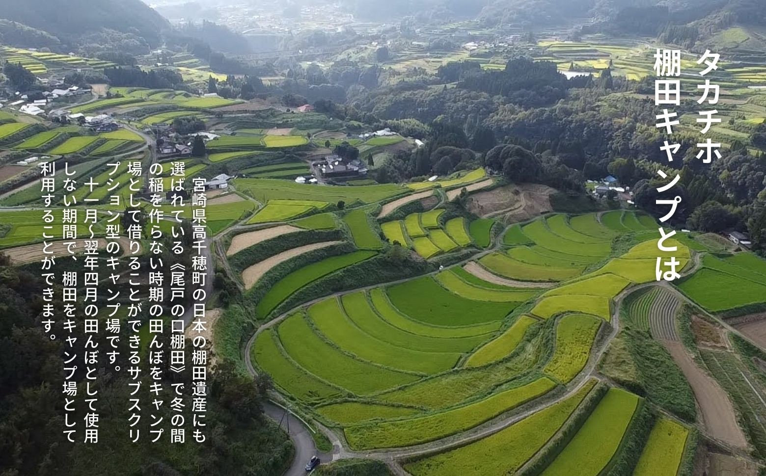 é«åç©ã®çµ¶æ¯æ£ç°ãã£ã³ããœã+ãã©ã³ïŒœå¯ä»ãããæ¹ïŒ1åïŒ+ãé£ãæ§ïŒ1åïŒ ãã£ã³ã ã°ã«ãŒããã©ã³ ãã£ã³ããã¡ã€ã€ãŒ çµ¶æ¯ ãµãã¹ã¯ãªãã·ã§ã³å æ£ç° é«åç© _Tk037-001