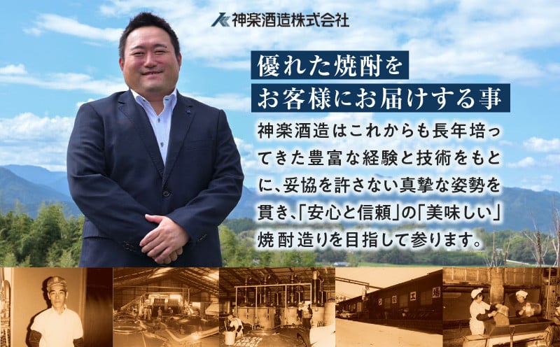 手造り梅酒 14% 720ml×2本セット 梅酒 酒 アルコール 梅酒セット セット 詰め合わせ ロック ストレート 贈答 贈答用 ギフト プレゼント お祝い 祝い 内祝い 記念日 誕生日 お取り寄せ グルメ 家飲み 宅飲み 飲み会 国産 宮崎県 高千穂町 _Tk007-028