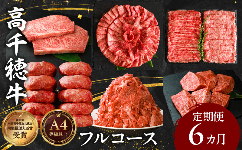 宮崎県産黒毛和牛A4等級以上 高千穂牛フルコース（6ヶ月定期便） 牛肉 肉 お肉 精肉 定期便 サーロイン ステーキ 焼肉 BBQ ロース カルビ こま肉 小間切れ モモ ハンバーグ しゃぶしゃぶ すき焼き すきしゃぶ 薄切り スライス 国産 セット 詰め合わせ パーティー アウトドア キャンプ グランピング お祝い ギフト プレゼント _Tk002-t054