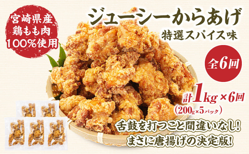 【6か月定期便】レンジでプロ味！からあげ6か月定期便 鶏肉 肉 鶏モモ肉 肉惣菜 惣菜 お惣菜 調理済み 冷凍 個包装 使い勝手 普段使い お弁当 おかず おつまみ 冷凍食品 冷凍からあげ 食品 小分け 便利 レンジ グルメ おすそ分け 簡単調理 宮崎 高千穂 _Tk005-t044