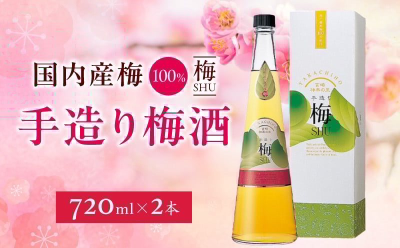 手造り梅酒 14% 720ml×2本セット 梅酒 酒 アルコール 梅酒セット セット 詰め合わせ ロック ストレート 贈答 贈答用 ギフト プレゼント お祝い 祝い 内祝い 記念日 誕生日 お取り寄せ グルメ 家飲み 宅飲み 飲み会 国産 宮崎県 高千穂町 _Tk007-028
