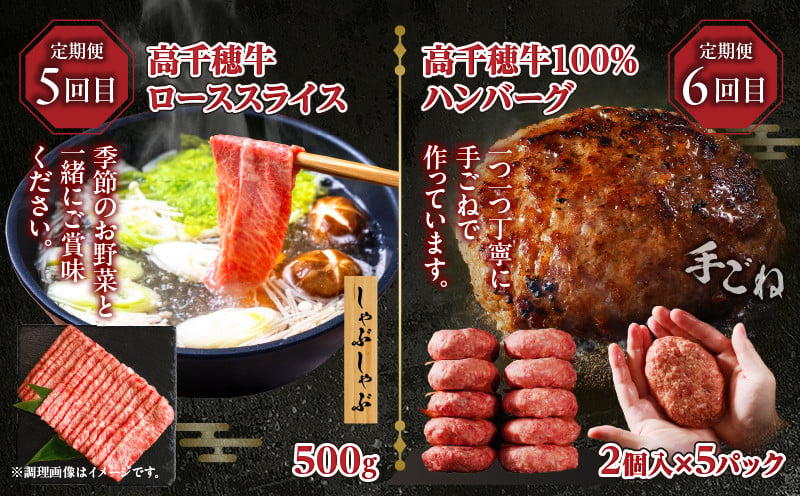 【6か月定期便】高千穂牛煮込み料理6か月定期便 高千穂牛 牛肉 肉 お肉 定期便 定期 国産牛 ブランド牛 和牛 すね肉 ロース 肩ロース 牛すじ バラ 牛バラ ハンバーグ スライス 煮込み カレー ビーフシチュー 国産 贈答 贈り物 普段使い 宮崎県 高千穂 _Tk002-t087