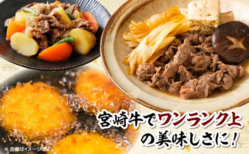 宮崎牛 こま肉・ミンチセット1kg 牛肉 肉 お肉 精肉 ミンチ 挽肉 精肉セット セット 詰め合わせ 国産牛 黒毛和牛 和牛 ブランド牛 贈答 贈り物 ギフト グルメ お取り寄せ 炒め物 料理 アレンジ 牛丼 野菜炒め メンチカツ コロッケ 普段使い BBQ 宮崎県 高千穂町 _Tk024-019