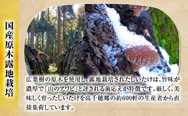 乾燥しいたけ 40g×6袋 240g 椎茸 小分け パック 小袋 個包装 個別包装 出汁取り 使い切り 使い勝手 普段使い お吸い物 きのこ キノコ類 干ししいたけ 乾しいたけ 原木栽培 乾燥しいたけ 常温 グルメ お取り寄せ おすすめ 宮崎県 高千穂町 _Tk004-039