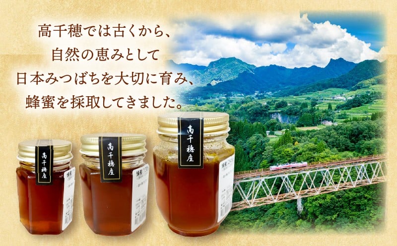 日本みつばち 高千穂の純粋蜂蜜 75g×1本|蜂蜜 はちみつ 日本みつばち 純粋蜂蜜 国産蜂蜜 天然蜂蜜 垂れ蜜 蜜蜂 希少 蜂蜜 濃厚 花 伝統製法 特産品 ふるさと納税 返礼品 宮崎県 高千穂町 | _Tk005-099-0751