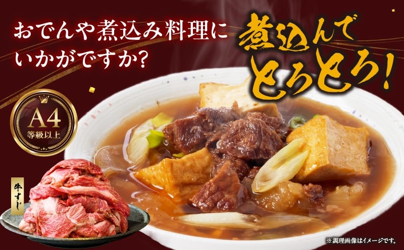宮崎県産黒毛和牛A4等級以上 高千穂牛すじ 500g×2パック 計1kg 牛肉 肉 お肉 精肉 ブランド牛 国産牛 黒毛和牛 国産 国産牛肉 料理 煮込み料理 カレー おでん 牛すじ煮込み 牛すじカレー 普段使い グルメ お取り寄せ 小分け ギフト プレゼント 宮崎県 高千穂町 _Tk002-066