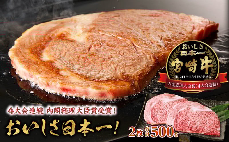宮崎牛霜降り（ロース）ステーキ250g×2枚 計500g 宮崎牛 牛肉 お肉 国産牛 ブランド牛 和牛 ロースステーキ ロース ステーキ 霜降り ステーキ肉 贈答用 贈答 贈り物 プレゼント 冷凍 記念日 誕生日 内祝い グルメ BBQ 焼き肉 アウトドア ミヤチク お祝い ホームパーティー おもてなし _Tk031-013