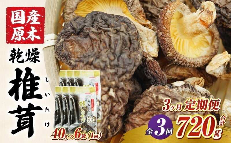 【3ヶ月定期便】 乾燥しいたけ 240g（40g×6袋）×3回 720g しいたけ 定期便 定期 定期的 国産 宮崎県産 原木 栽培 乾燥 干し椎茸 原木椎茸 国産しいたけ 小分け 袋 小袋 普段使い 使い勝手 使い切り 肉厚 旨み 香り グルメ お取り寄せ 宮崎県 高千穂町 _Tk004-t042