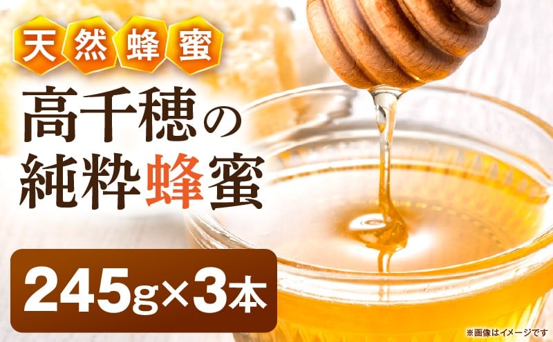 日本みつばち 高千穂の純粋蜂蜜 245g×3本|蜂蜜 はちみつ 日本みつばち 純粋蜂蜜 国産蜂蜜 天然蜂蜜 垂れ蜜 蜜蜂 希少 蜂蜜 濃厚 花 伝統製法 特産品 ふるさと納税 返礼品 宮崎県 高千穂町 | _Tk005-099-2453
