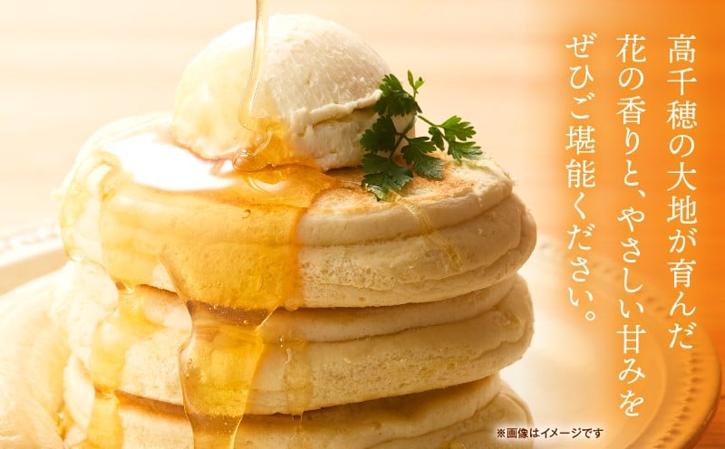 日本みつばち 高千穂の純粋蜂蜜 75g×1本|蜂蜜 はちみつ 日本みつばち 純粋蜂蜜 国産蜂蜜 天然蜂蜜 垂れ蜜 蜜蜂 希少 蜂蜜 濃厚 花 伝統製法 特産品 ふるさと納税 返礼品 宮崎県 高千穂町 | _Tk005-099-0751