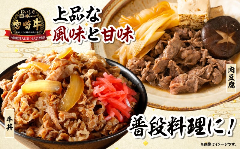 宮崎牛 こま切れ600g 牛肉 肉 お肉 精肉 挽肉 小間切れ 国産牛 和牛 ブランド牛 贈答 贈り物 ギフト グルメ お取り寄せ 炒め物 料理 アレンジ 牛丼 野菜炒め 肉豆腐 普段使い BBQ 宮崎県 高千穂町 _Tk024-018