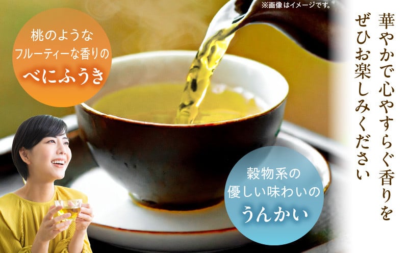 【国産烏龍茶】高千穂烏龍（リーフ）2種4袋セット べにふうき30g×2袋＆うんかい30g×2袋 国産 烏龍茶 お茶 べにふうき うんかい 茶葉 飲み物 ティータイム フルーティーな香り セット 宮崎県 高千穂町 _Tk025-006