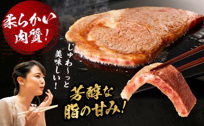 宮崎牛霜降り（ロース）ステーキ250g×2枚 計500g 宮崎牛 牛肉 お肉 国産牛 ブランド牛 和牛 ロースステーキ ロース ステーキ 霜降り ステーキ肉 贈答用 贈答 贈り物 プレゼント 冷凍 記念日 誕生日 内祝い グルメ BBQ 焼き肉 アウトドア ミヤチク お祝い ホームパーティー おもてなし _Tk031-013