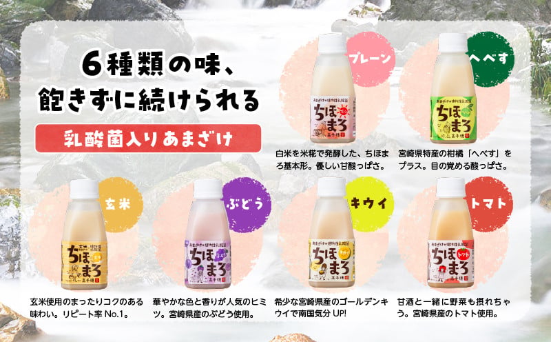 乳酸菌入りあまざけ ちほまろ 150g　12本セット【プレーン へべす 玄米 キウイ トマト ブドウ】ノンアルコール 贈答 贈り物 おすそ分け 日課 ドリンク 無添加 無加糖 飲み物 乳酸飲料 飲料 宮崎県 高千穂町  _Tk015-017-a12
